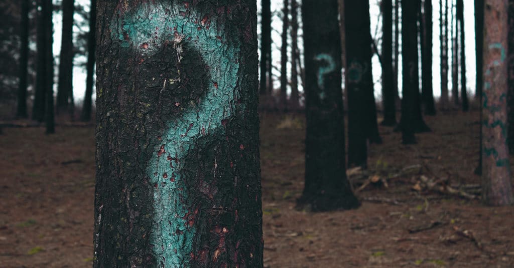 Szenvedély + betegség = szenvedélybetegség?